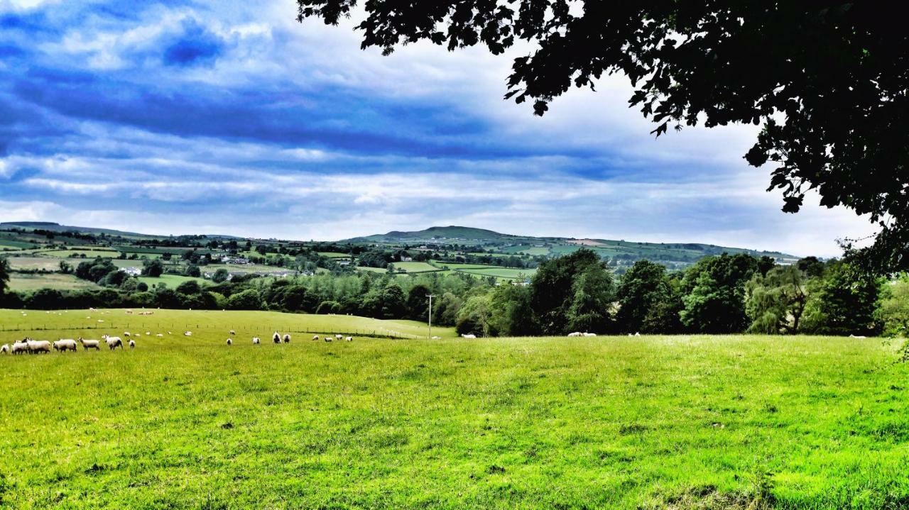 Elagh View Bed & Breakfast Londonderry Εξωτερικό φωτογραφία